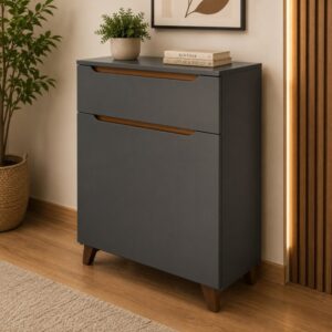 MANDO MULTIFUNCTION CABINET 170/172